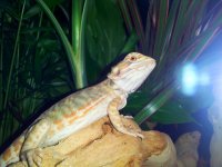 2013-04-30 14.45.44.jpg