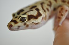 DSC_0027.jpg