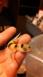 IMG_20130622_233337_235.jpg