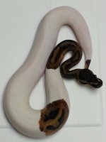 2013062695212642.jpg