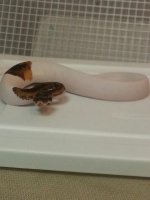 201306299510254111.jpg