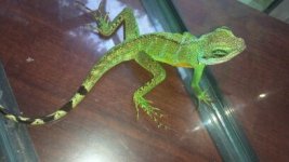 2013-06-16_14-34-55_301.jpg