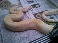 IMG_20130610_174226.jpg