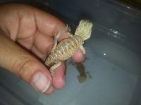 20130531_165118.jpg