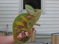 IMG_2400.jpg
