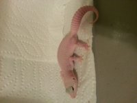 20130620_213549.jpg