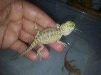 20130531_165126.jpg