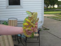 IMG_2407.jpg