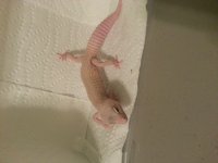 20130620_213441.jpg