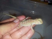 20130531_165139.jpg