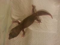 20130620_213728.jpg