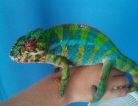 2012-08-05 12.32.56a.jpg