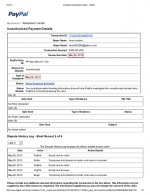 Unauthorized Payment Details - PayPal-page-001.jpg