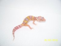 2013 babies 022.jpg