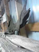 IMG_20130508_184042.jpg