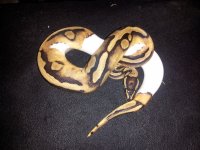20130403_185925.jpg