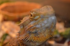 DSC_0006.jpg