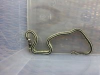 20130628_132251.jpg