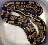 photo (12).jpg