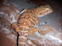 20130508_181354.jpg