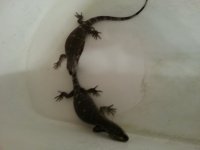 20130323_153954.jpg