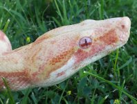 20130707_180910.jpg