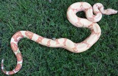 20130707_180837.jpg