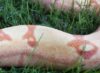 20130707_180847.jpg