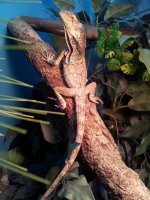20130508_172048.jpg
