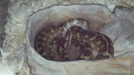 2012-11-29_23-32-35_433.jpg