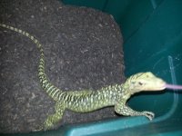 20130410_093359.jpg