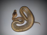 20130723_211848.jpg