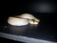 20130723_211723.jpg