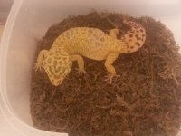 20130523_231106.jpg
