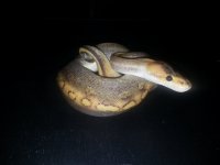 20130729_132217.jpg