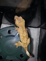 20130607_184613.jpg