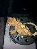 20130607_184425.jpg