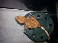 20130607_184706.jpg