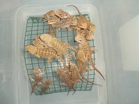 100_4076.jpg