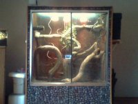 enclosure.jpg