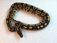Mystic May13-B.JPG