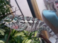 20130714_170543.jpg