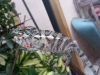 20130714_170539.jpg