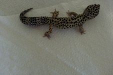 20130626_101451.jpg