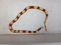 IMG_0294.jpg