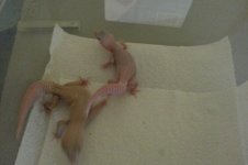 20130626_101802.jpg