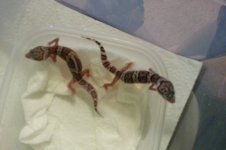 20130626_102325.jpg