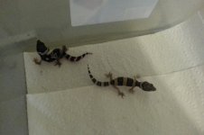 20130626_102211.jpg