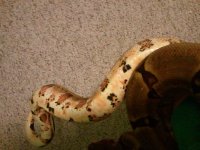2013-04-23 18.57.58.jpg