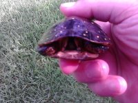 2013-07-08 007.jpg